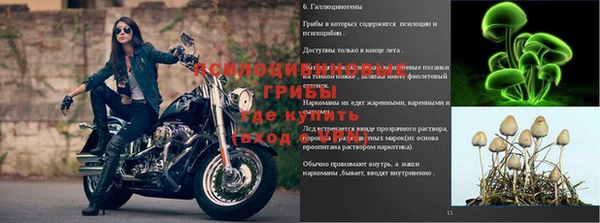 мяу мяу мука Алексин